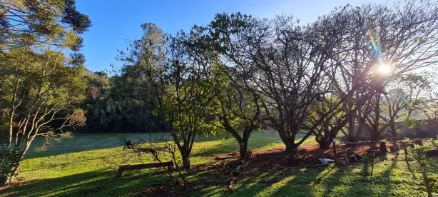 Lote/Terreno à venda, 11000m² no Vila São Tiago, Piraquara