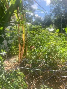 Lote/Terreno à venda, 250m² no Residencial Estoril, Taubaté