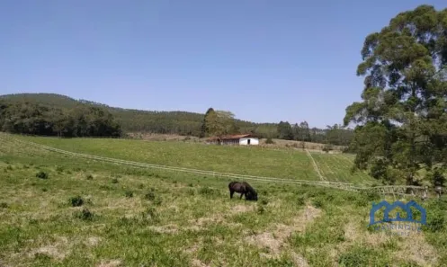 Fazenda/Sítio com 5 Quartos à venda, 556000m² no , Piedade