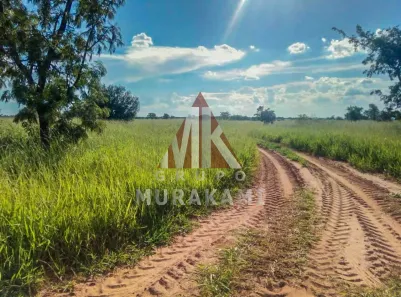 Fazenda/Sítio com 1 Quarto à venda, 560m² no , Amambai