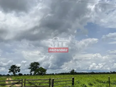 Fazenda/Sítio à venda, 500m² no , Cocalinho