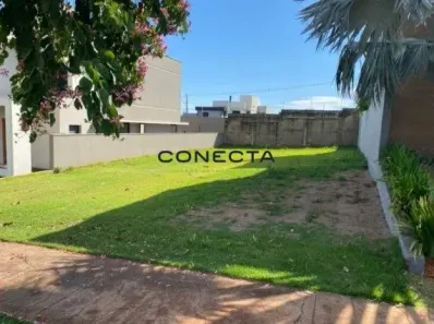 Lote/Terreno à venda, 284m² no Conjunto Habitacional Alexandre Urbanas, Londrina