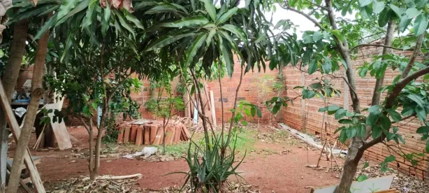 Lote/Terreno com 1 Quarto à venda, 250m² no , Brazabrantes
