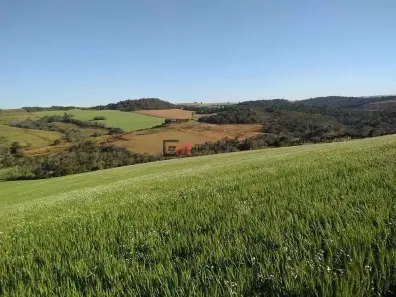 Fazenda/Sítio com 3 Quartos à venda, 10m² no Área Rural de Londrina, Londrina