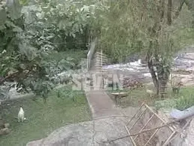 Fazenda/Sítio à venda, 350m² no , Piedade