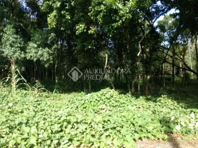 Lote/Terreno à venda, 55000m² no Várzea Grande, Gramado