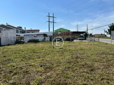 Lote/Terreno à venda, 522m² no Pagani, Palhoça