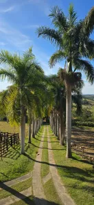 Fazenda/Sítio com 6 Quartos à venda, 800m² no Espirito Santo, Paraibuna