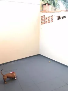 Casa de Condomínio com 2 Quartos à venda, 110m² no Cidade Jardim, Jacareí