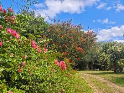 Fazenda/Sítio com 7 Quartos à venda, 1200m² no Águas Claras VI (Águas Claras), Viamão