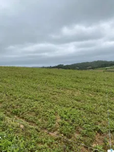 Lote/Terreno à venda, 500m² no Altos de Caucaia (Caucaia do Alto), Cotia