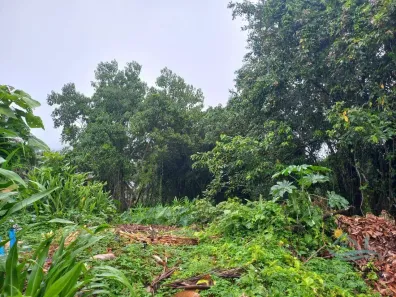 Lote/Terreno à venda, 2340m² no Camburi, São Sebastião