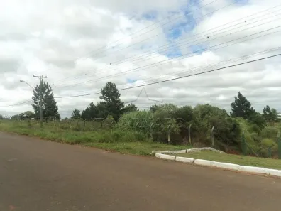para alugar, 19318m² no Cará-cará, Ponta Grossa