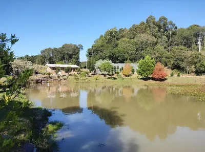 Fazenda/Sítio com 3 Quartos à venda, 21000m² no Fazenda Souza, Caxias do Sul