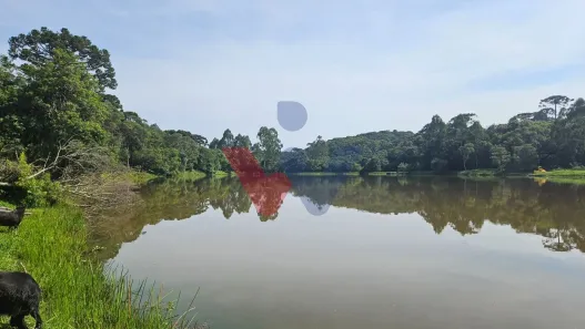 Fazenda/Sítio com 3 Quartos à venda, 22454m² no Colônia Murici, São José dos Pinhais