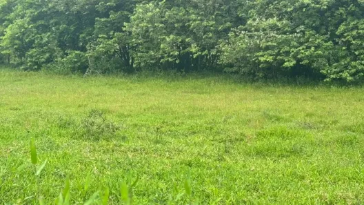 Lote/Terreno à venda, 450m² no Ribeirão da Ilha, Florianópolis