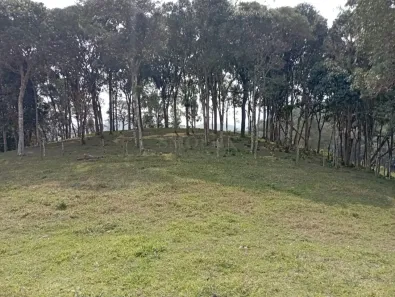 Lote/Terreno à venda, 1186m² no , Santo Amaro da Imperatriz