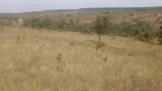 Lote/Terreno à venda, 30000m² no , Três Marias