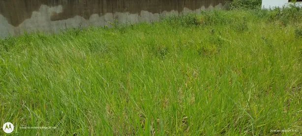 Lote/Terreno à venda, 448m² no Praia Mar, Rio das Ostras