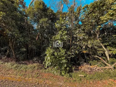 Lote/Terreno à venda, 3182m² no Paisagem Renoir, Cotia