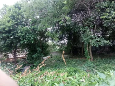Lote/Terreno à venda, 456m² no Ingleses do Rio Vermelho, Florianópolis