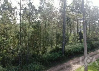 Lote/Terreno à venda, 500m² no Capricórnio II, Caraguatatuba