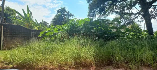 Lote/Terreno à venda, 250m² no Jardim Santos Dumont, Bauru