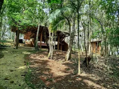 Fazenda/Sítio com 1 Quarto à venda, 17000m² no Rio Preto, Santo Antônio do Pinhal
