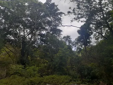 Fazenda/Sítio à venda, 100000m² no Campo Grande, Rio de Janeiro