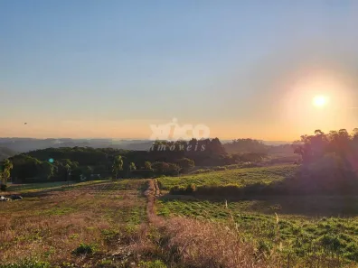 Fazenda/Sítio com 1 Quarto à venda, 5000m² no Pinhal Alto, Nova Petrópolis