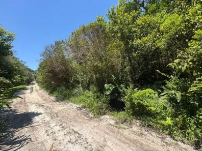 Lote/Terreno à venda, 5045m² no Jardim das Palmeiras, Itanhaém