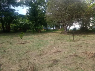 Fazenda/Sítio com 2 Quartos à venda, 13000m² no Primavera 1B, São José dos Campos