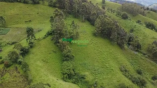Fazenda/Sítio à venda, 90000m² no Centro, Marmelópolis