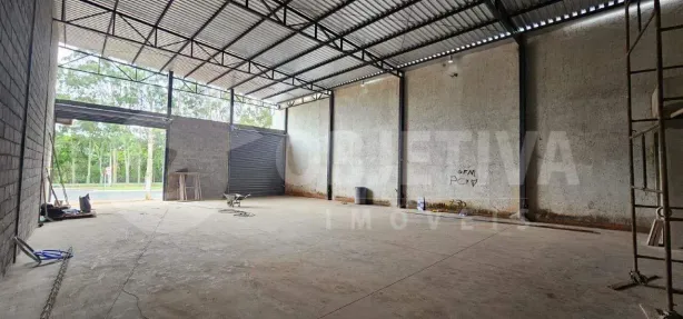 Galpão/Depósito/Armazém para alugar, 240m² no Segismundo Pereira, Uberlândia