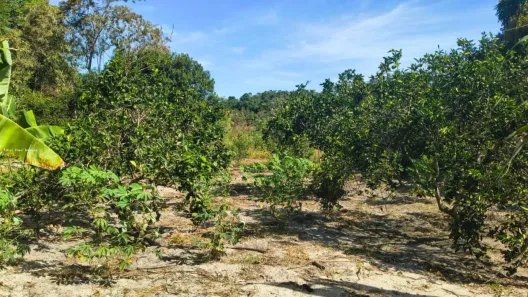 Fazenda/Sítio com 2 Quartos à venda, 34000m² no Cidade Nova, Silva Jardim