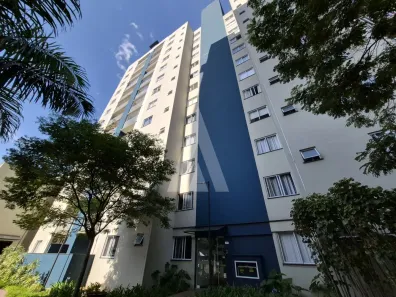 Apartamento com 2 Quartos para alugar, 59m² no Anita Garibaldi, Joinville