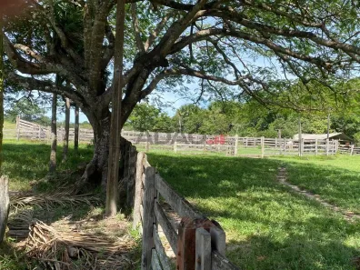 Fazenda/Sítio à venda, 1108800m² no , Itapuranga