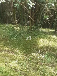Lote/Terreno à venda, 450m² no Tarumã, Santana de Parnaíba
