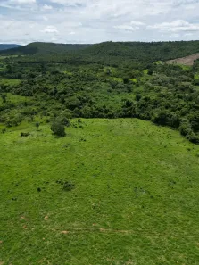 Fazenda/Sítio com 4 Quartos à venda, 4722480m² no , Silvânia