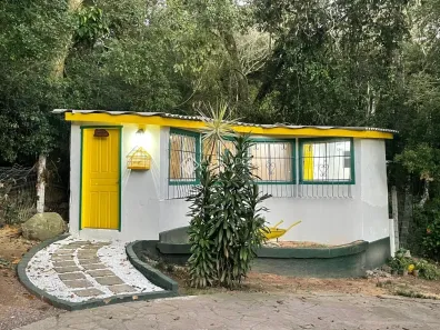 Fazenda/Sítio à venda, 200m² no Ponta Grossa, Porto Alegre