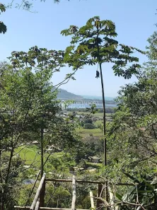 Lote/Terreno à venda, 2000m² no Encantada, Garopaba