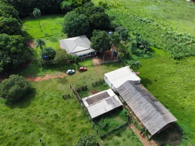 Fazenda/Sítio com 4 Quartos à venda, 220m² no Área Rural de Luziânia, Luziânia