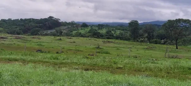 Fazenda/Sítio à venda, 17133600m² no , Colinas do Sul
