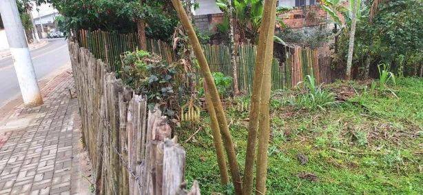 Lote/Terreno à venda, 300m² no , Monteiro Lobato