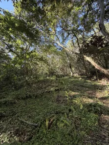 Lote/Terreno à venda, 40000m² no Rio Pequeno, Camboriú