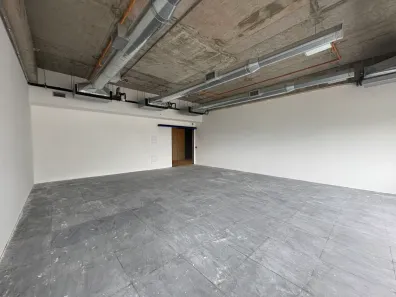 Ponto Comercial para alugar, 94m² no Parque Industrial Tomas Edson, São Paulo