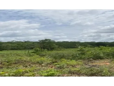 Fazenda/Sítio à venda, 100m² no Área Rural de Serra Dourada, Serra Dourada