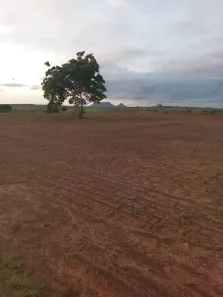 Fazenda/Sítio com 3 Quartos à venda, 986m² no Conjunto Habitacional Piracema, Barra do Garças