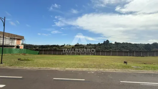 Lote/Terreno à venda, 505m² no Estrela, Ponta Grossa