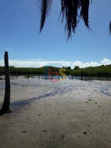Fazenda/Sítio à venda, 27500m² no , Porto Seguro